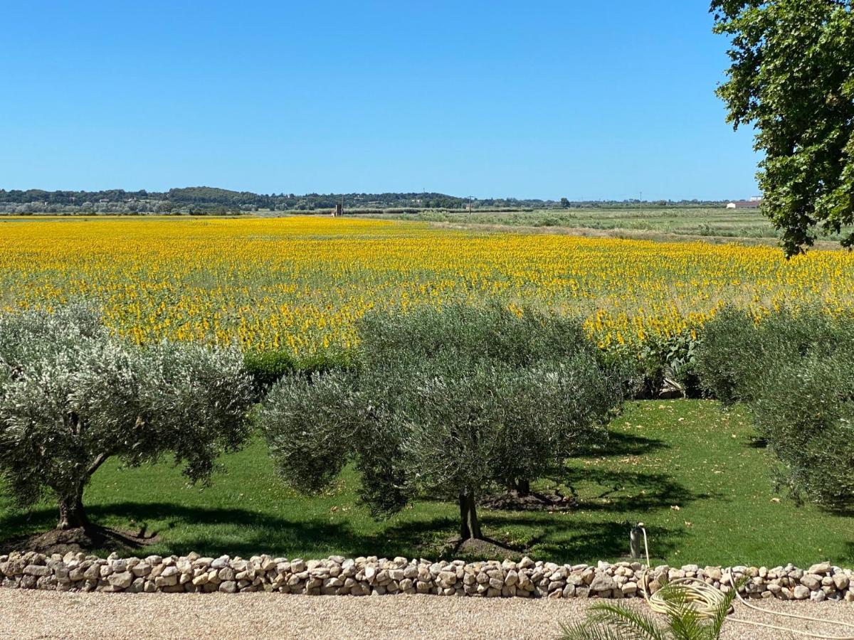 Le Domaine De Laforest Fontvieille Exterior foto