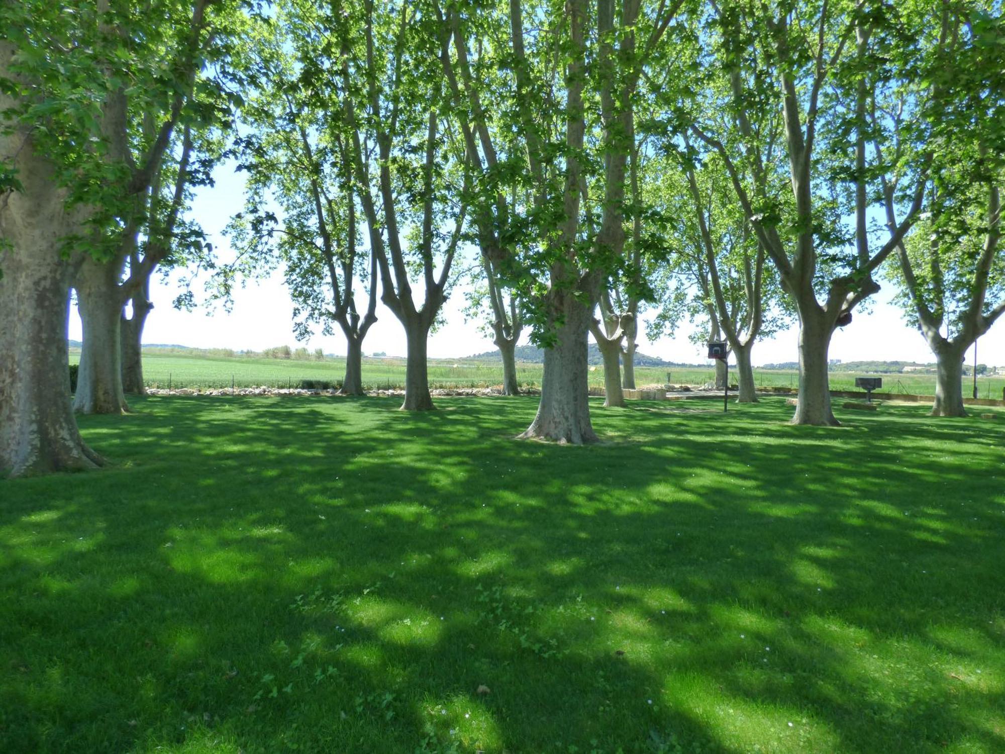 Le Domaine De Laforest Fontvieille Exterior foto