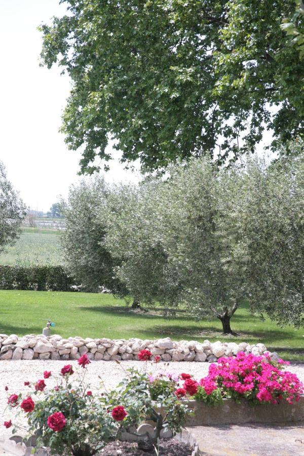 Le Domaine De Laforest Fontvieille Exterior foto